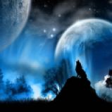 Lobo aullando a la Luna Llena.