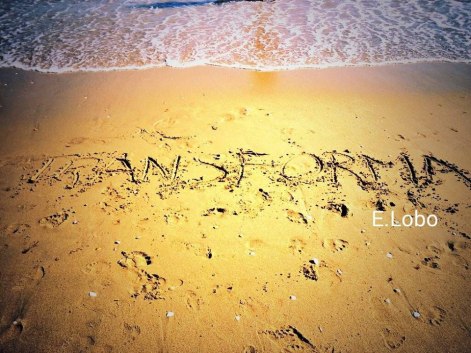Todo se transforma escrito en la arena a la orilla del mar